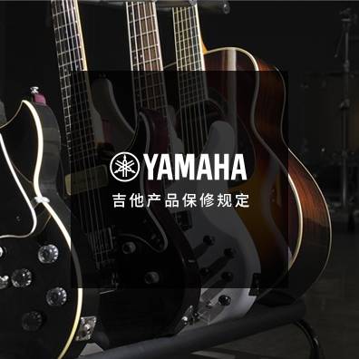 吉他、贝斯和音箱
